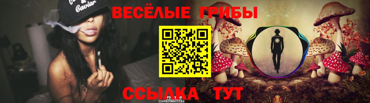 дарнет шоп  Вход с VPN  Кудымкар  Псилоцибиновые грибы Psilocybe 